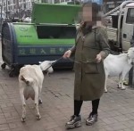 ΢��ͼƬ_20210518161504_conew1.jpg
