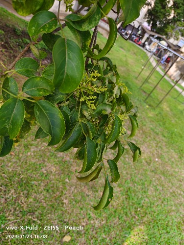 IMG_20230123_160802.jpg