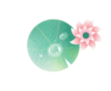 222.gif