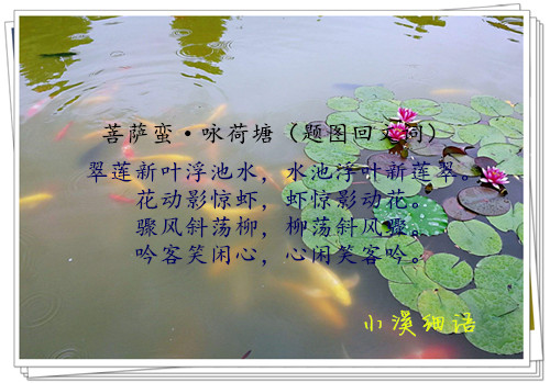 947933259a5beaf04a161e0a6a8eb72f_����.jpg